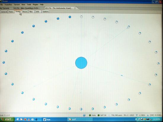  Screen shot of a swarm of peers