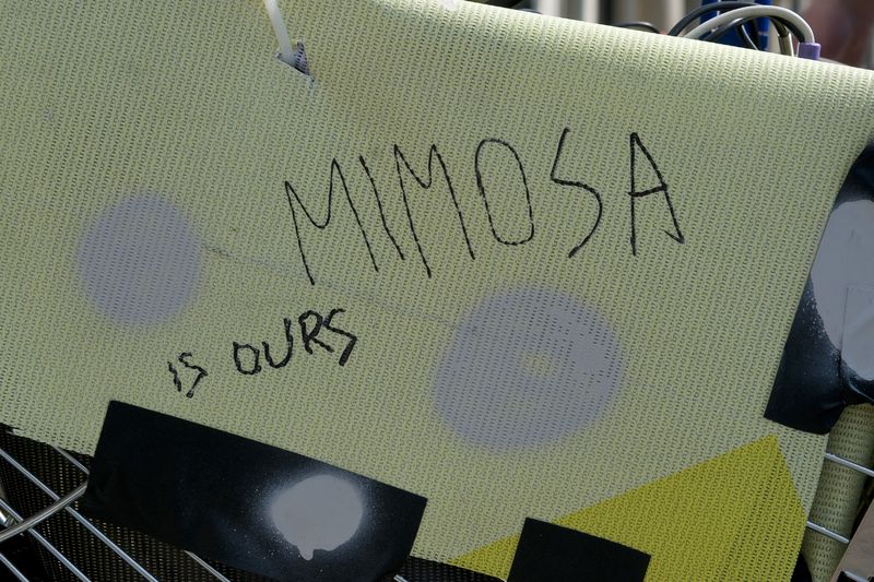  mimosa012.jpg 